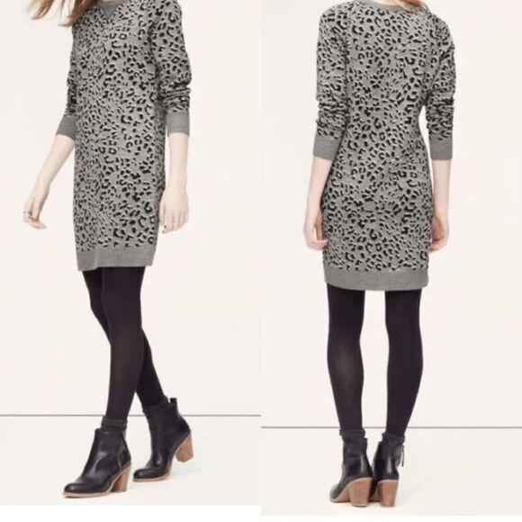 Ann Taylor LOFT Gray Leopard Animal Print Sweater Dress Wool Blend Small - Picture 1 of 5
